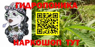 мдпв Керчь