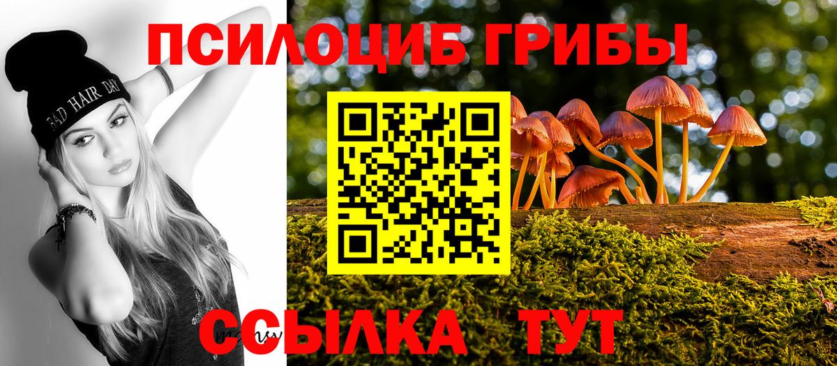 Сегежа  Псилоцибиновые грибы Magic Shrooms  Галлюциногенные грибы MAGIC MUSHROOMS  Вход с VPN 